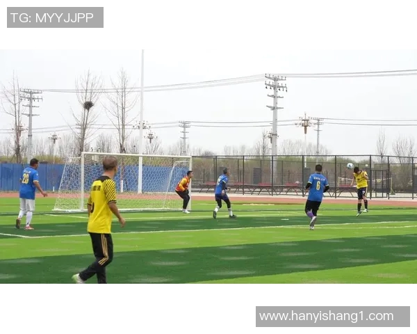 聚焦世界绿茵赛场纵览当今最具影响力的足球球星风采